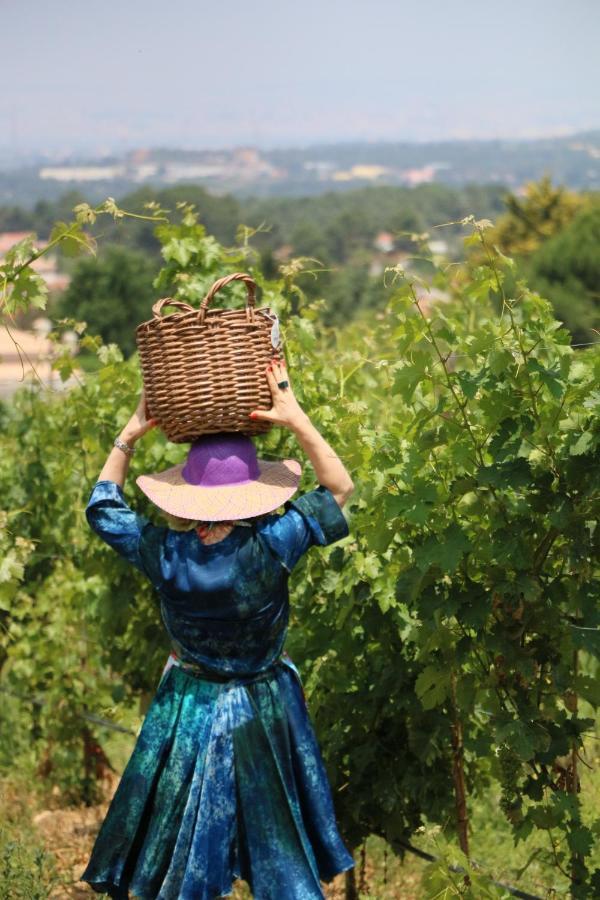 Quinta Da Chapeleira Em Azeitao 빌라 외부 사진