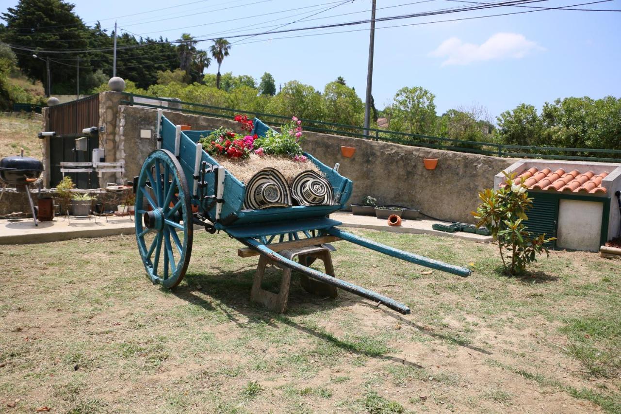 Quinta Da Chapeleira Em Azeitao 빌라 외부 사진
